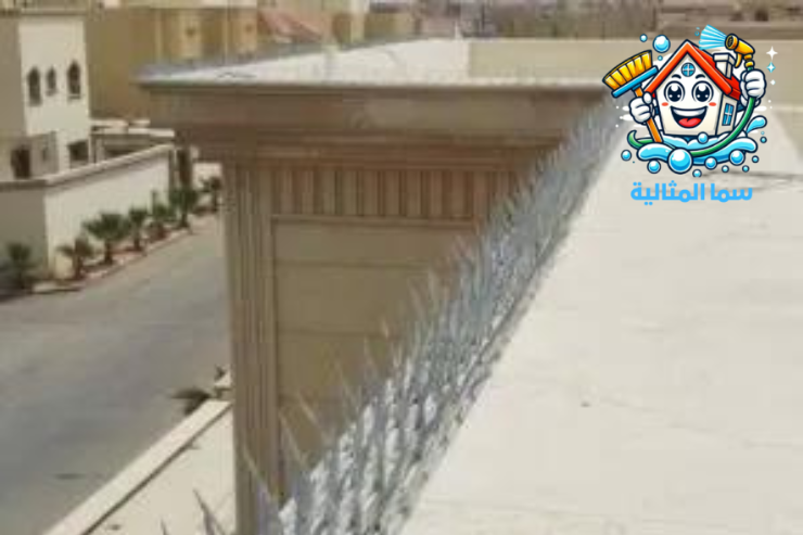 شركة مكافحة الحمام بالخبر
